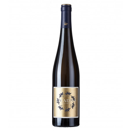 Weingut Korrell Riesling Paradies 2022