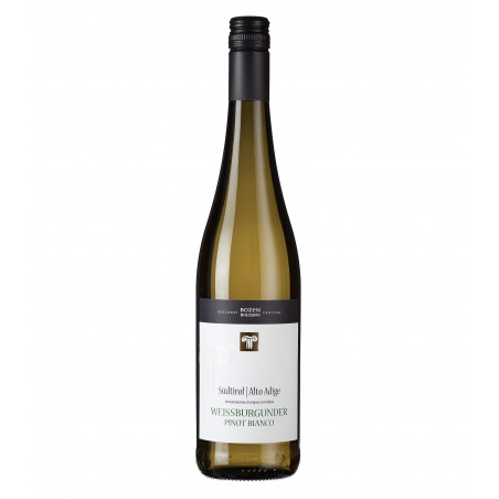 2019 Pinot Bianco / Weißburgunder Südtirol Alto Adige Kellerei Bozen